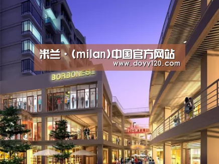 案例展示一(图1)