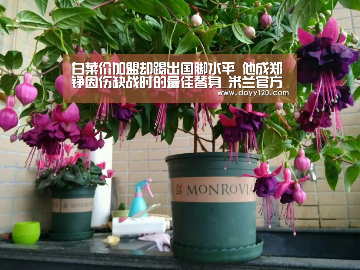 白菜价加盟却踢出国脚水平 他成郑铮因伤缺战时的最佳替身_米兰官方网站(图4) 米兰·(milan)中国官网