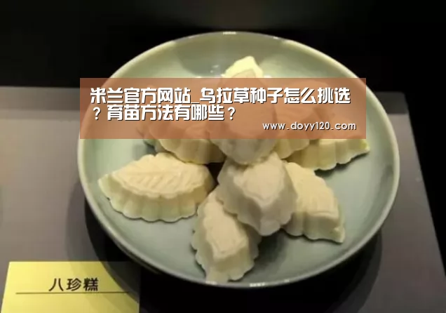 米兰官方网站