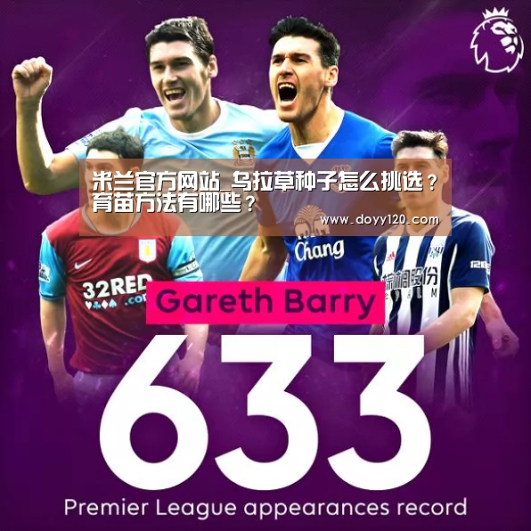 milan米兰