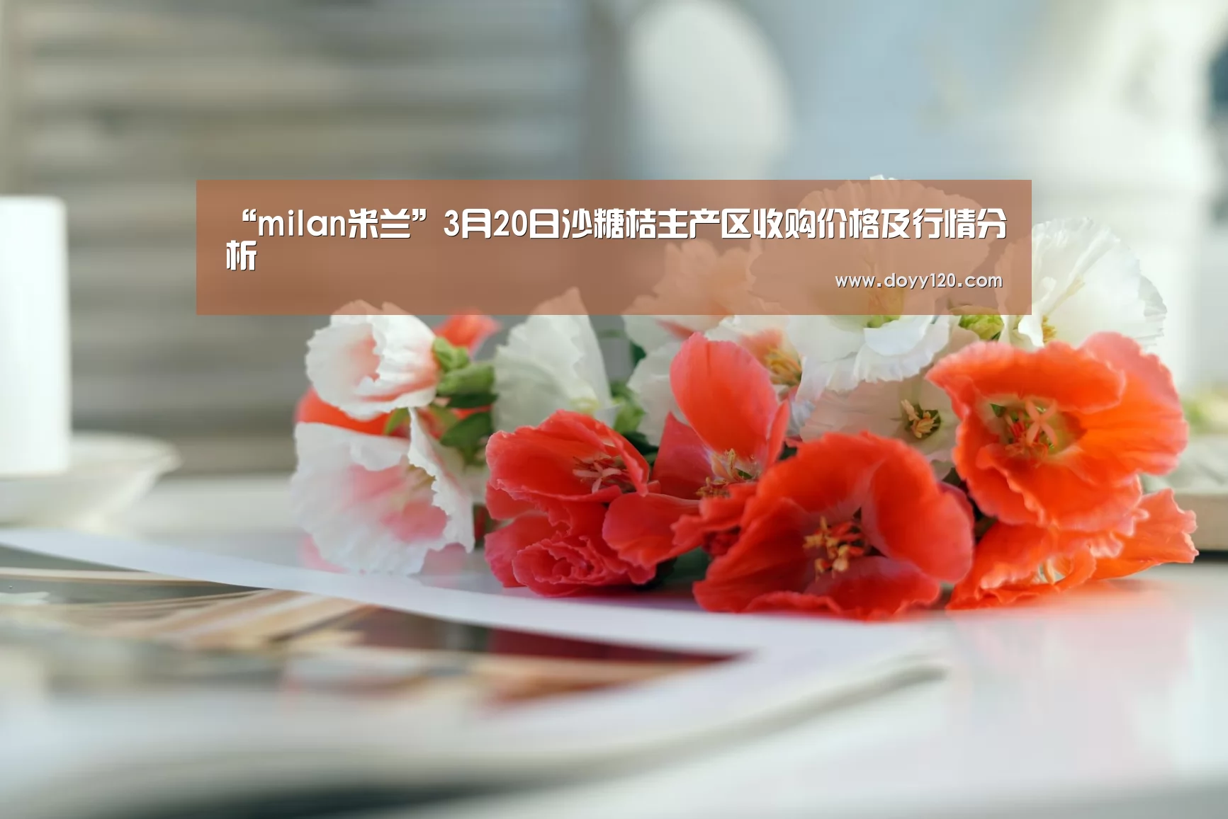 米兰官方网站