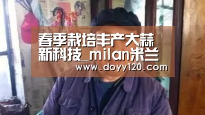 春季栽培丰产大蒜新科技_milan米兰(图1) 米兰官方网站