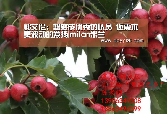米兰官方网站