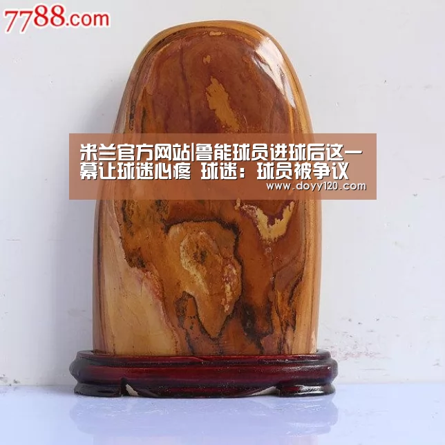 米兰官方网站|鲁能球员进球后这一幕让球迷心疼 球迷:球员被争议判罚整怕了(图3) 米兰·(milan)中国官网