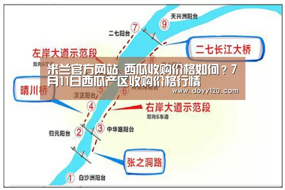 米兰官方网站_西瓜收购价格如何?7月11日西瓜产区收购价格行情(图3) milan米兰