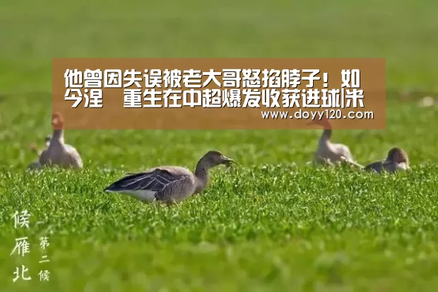他曾因失误被老大哥怒掐脖子!如今涅槃重生在中超爆发收获进球|米兰·(milan)中国官网(图3) 米兰·(milan)中国官网