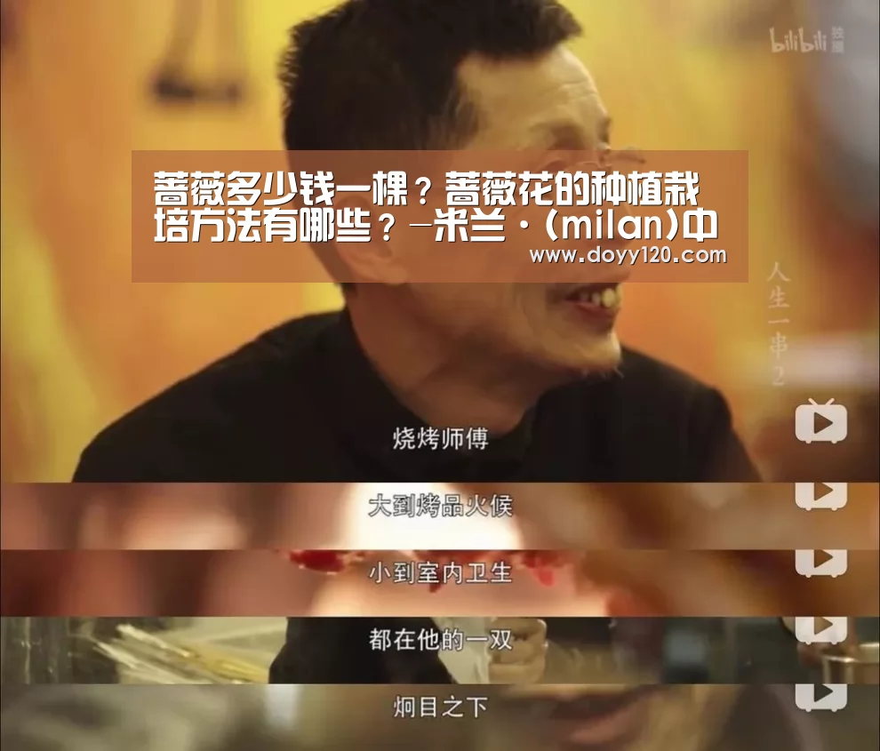 蔷薇多少钱一棵?蔷薇花的种植栽培方法有哪些?-米兰·(milan)中国官网(图3) 米兰·(milan)中国官网