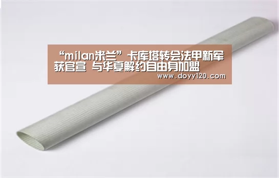 “milan米兰”卡库塔转会法甲新军获官宣 与华夏解约自由身加盟(图2) 米兰·(milan)中国官网