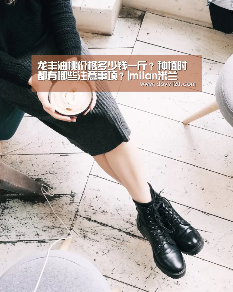 龙丰油桃价格多少钱一斤?种植时都有哪些注意事项?|milan米兰(图1) 米兰官方网站