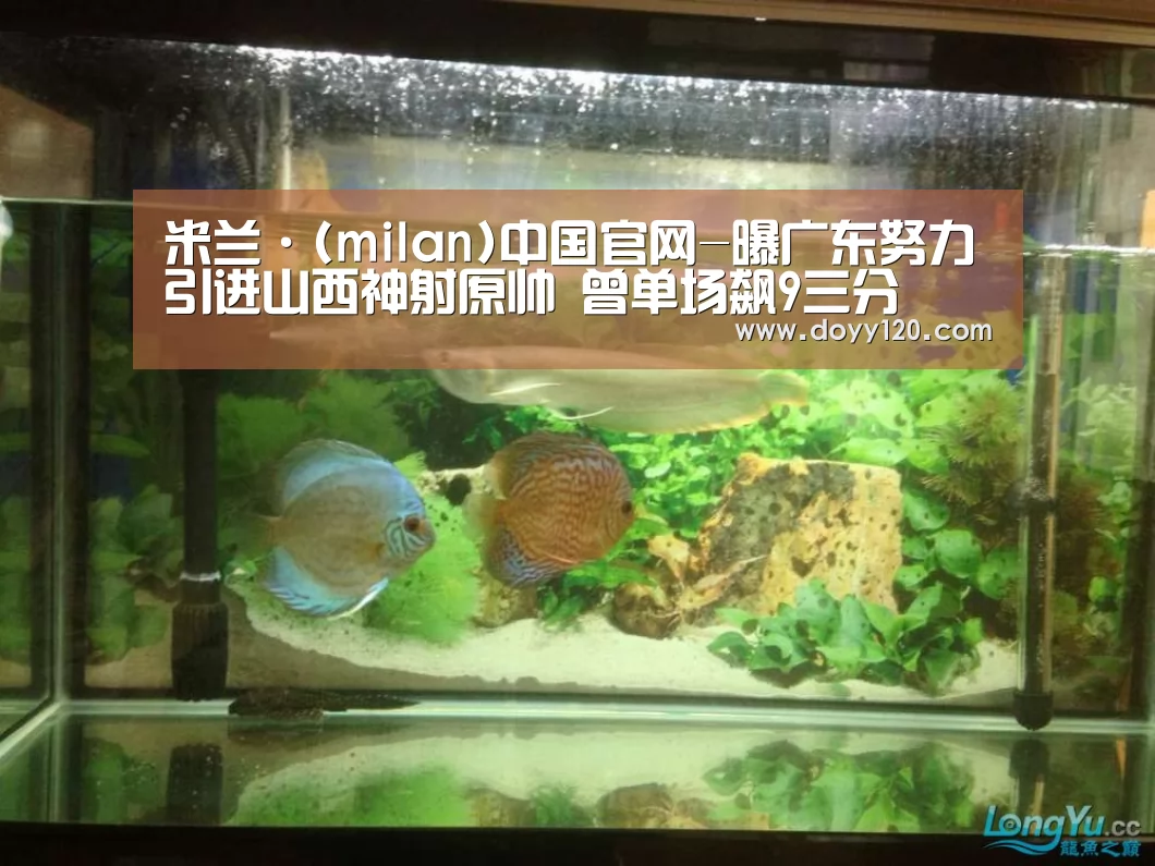米兰·(milan)中国官网-曝广东努力引进山西神射原帅 曾单场飙9三分(图1) 米兰·(milan)中国官网