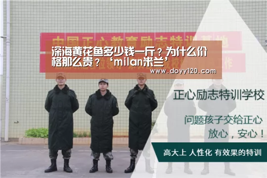 深海黄花鱼多少钱一斤?为什么价格那么贵?‘milan米兰’(图1) 米兰·(milan)中国官网
