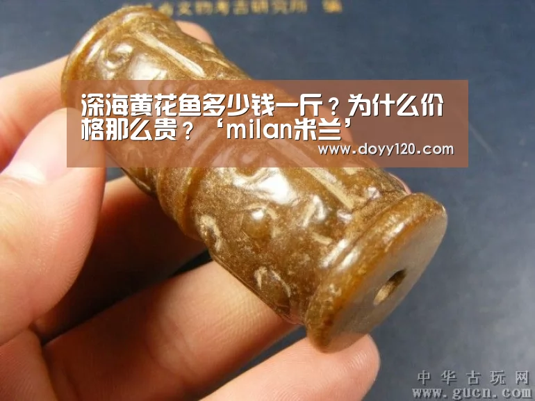 深海黄花鱼多少钱一斤?为什么价格那么贵?‘milan米兰’(图4) milan米兰