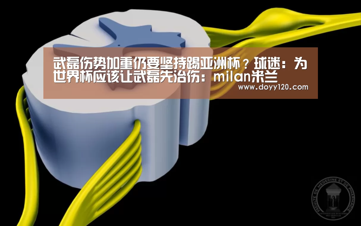 武磊伤势加重仍要坚持踢亚洲杯?球迷:为世界杯应该让武磊先治伤:milan米兰(图1) 米兰·(milan)中国官网