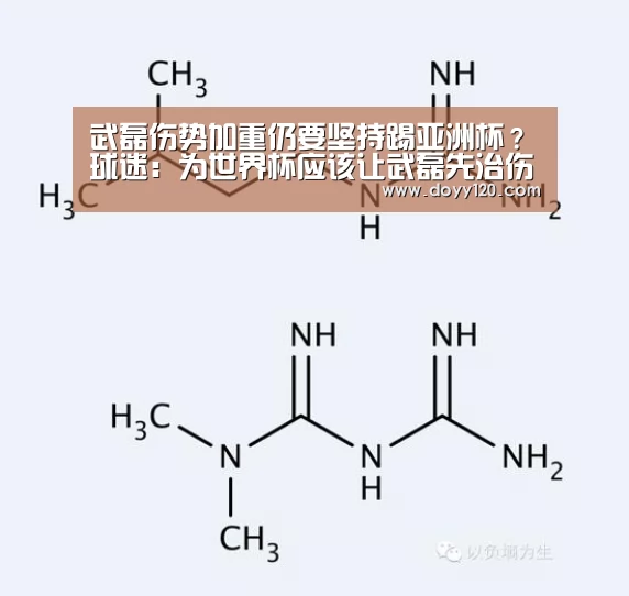 武磊伤势加重仍要坚持踢亚洲杯?球迷:为世界杯应该让武磊先治伤:milan米兰(图3) 米兰官方网站