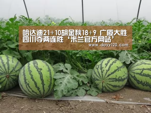 哈达迪21+10胡金秋18+9 广厦大胜四川夺两连胜‘米兰官方网站’(图2) 米兰·(milan)中国官网