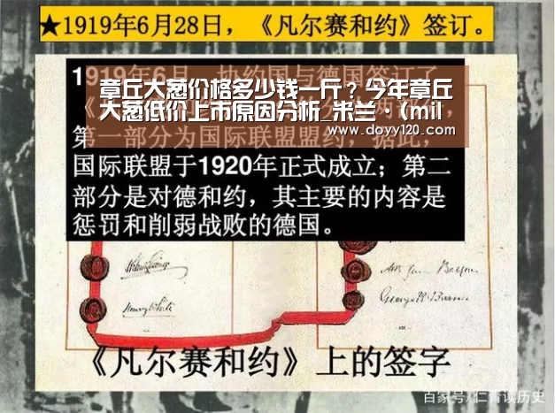 章丘大葱价格多少钱一斤?今年章丘大葱低价上市原因分析_米兰·(milan)中国官网(图1) milan米兰