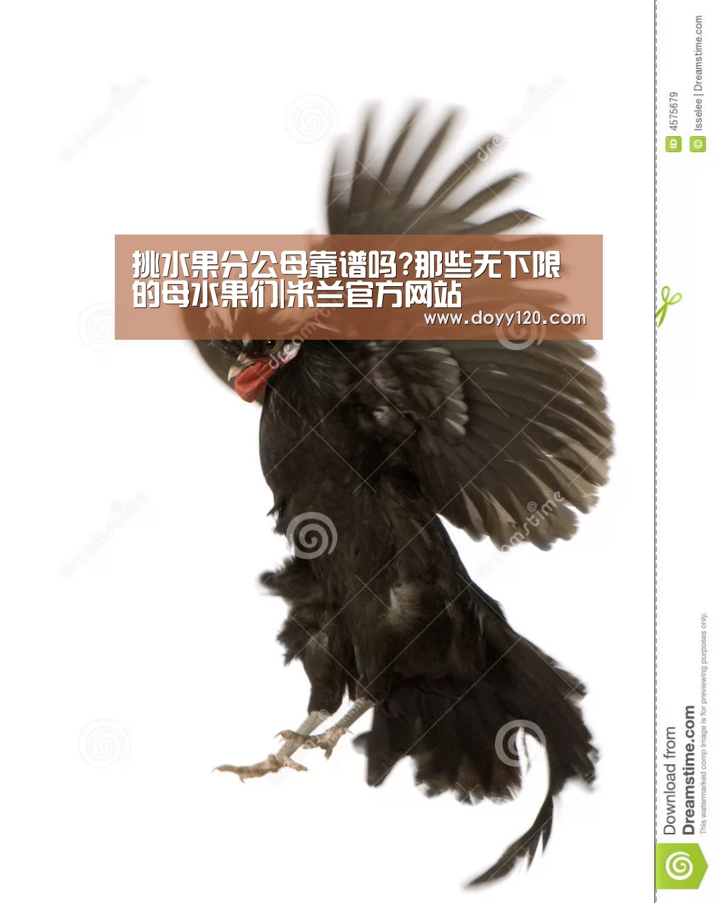 米兰·(milan)中国官网