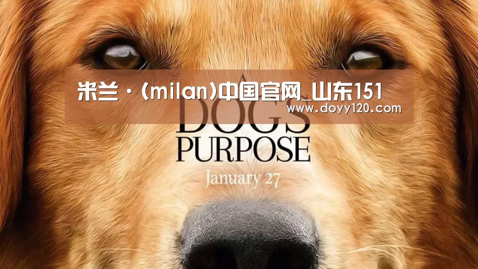 米兰·(milan)中国官网_山东151(图3) milan米兰