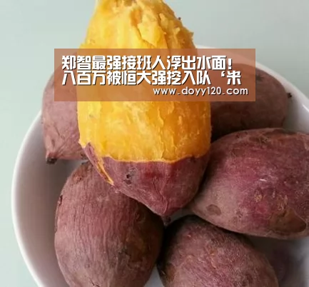 郑智最强接班人浮出水面!八百万被恒大强挖入队‘米兰·(milan)中国官网’(图2) 米兰官方网站