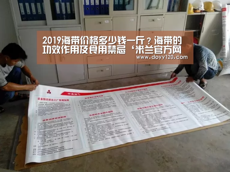 2019海带价格多少钱一斤?海带的功效作用及食用禁忌‘米兰官方网站’(图3) 米兰官方网站