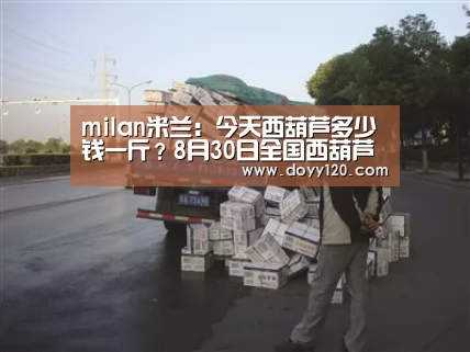milan米兰:今天西葫芦多少钱一斤?8月30日全国西葫芦价格最新行情(图1) milan米兰