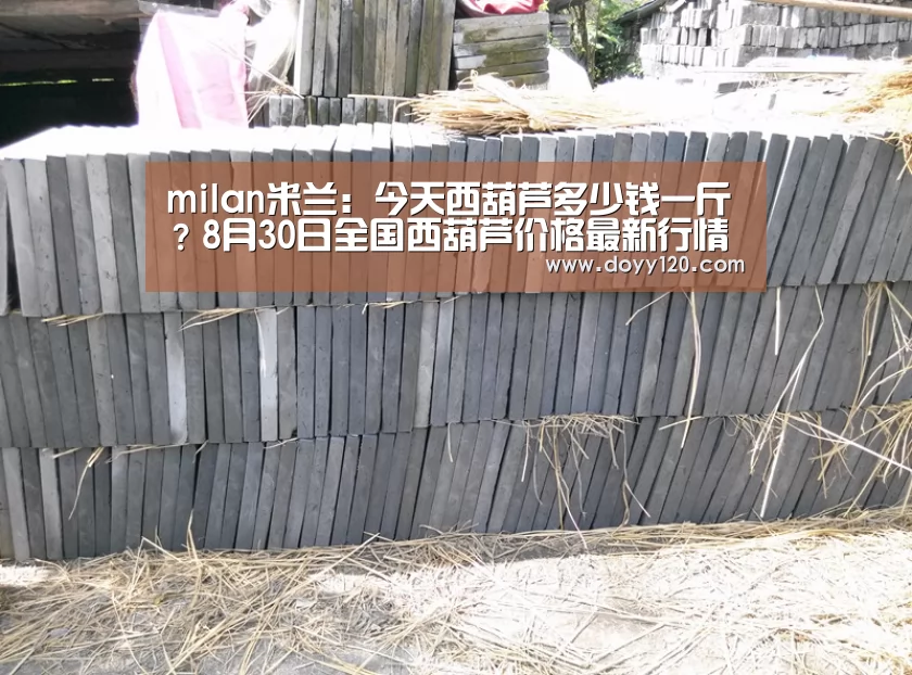 milan米兰:今天西葫芦多少钱一斤?8月30日全国西葫芦价格最新行情(图3) milan米兰