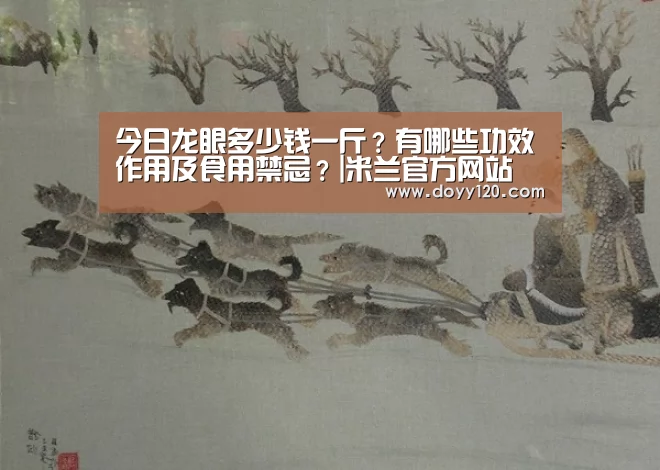 今日龙眼多少钱一斤?有哪些功效作用及食用禁忌?|米兰官方网站(图2) 米兰·(milan)中国官网