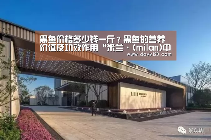 黑鱼价格多少钱一斤?黑鱼的营养价值及功效作用“米兰·(milan)中国官网”(图1) milan米兰