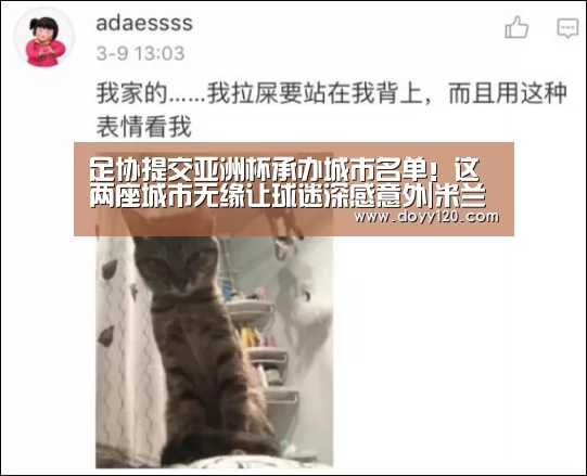足协提交亚洲杯承办城市名单!这两座城市无缘让球迷深感意外|米兰·(milan)中国官网(图1) milan米兰