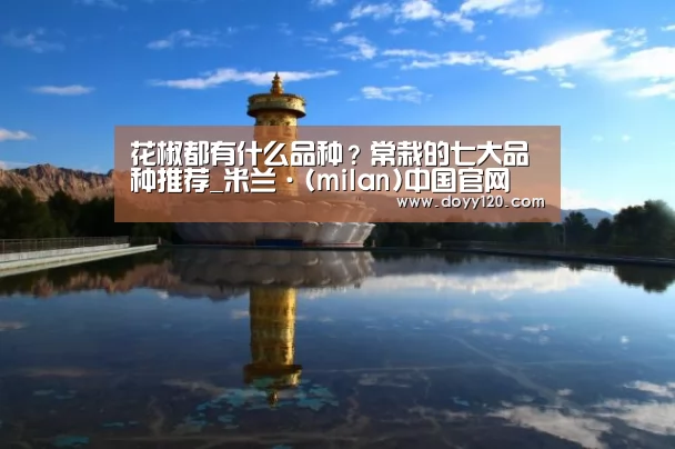 米兰官方网站