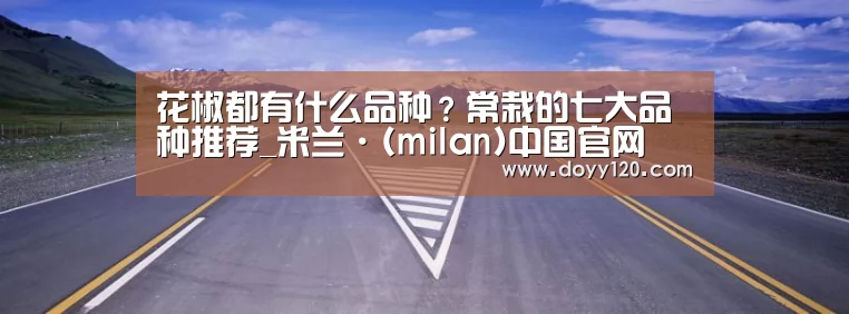 米兰·(milan)中国官网