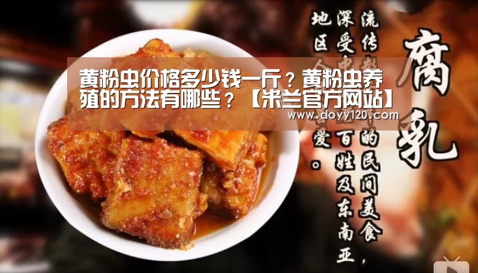 黄粉虫价格多少钱一斤?黄粉虫养殖的方法有哪些?【米兰官方网站】(图1) 米兰·(milan)中国官网