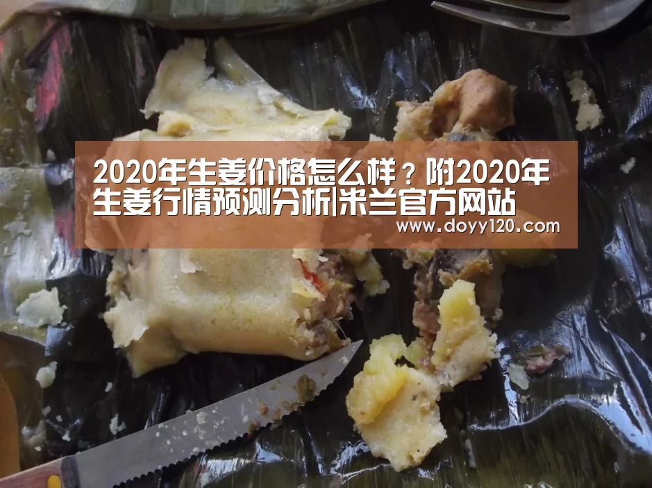 2020年生姜价格怎么样?附2020年生姜行情预测分析|米兰官方网站(图2) milan米兰