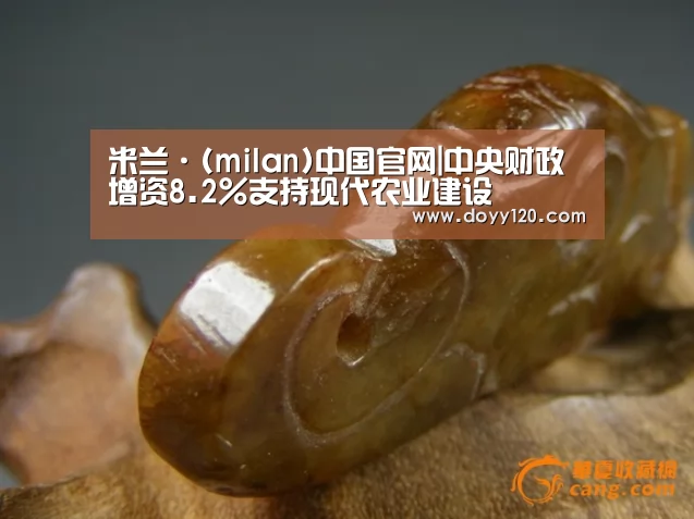 米兰·(milan)中国官网|中央财政增资8.2%支持现代农业建设(图3) 米兰·(milan)中国官网