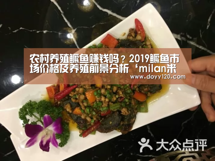 农村养殖鳜鱼赚钱吗?2019鳜鱼市场价格及养殖前景分析‘milan米兰’(图1) 米兰·(milan)中国官网
