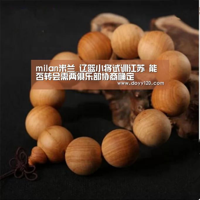 milan米兰_辽篮小将试训江苏 能否转会需两俱乐部协商确定(图1) 米兰官方网站