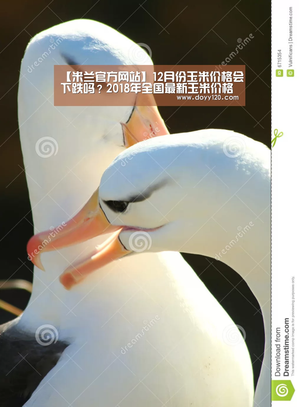【米兰官方网站】12月份玉米价格会下跌吗?2018年全国最新玉米价格行情预测(图3) milan米兰