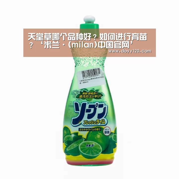 天堂草哪个品种好?如何进行育苗?‘米兰·(milan)中国官网’(图2) milan米兰