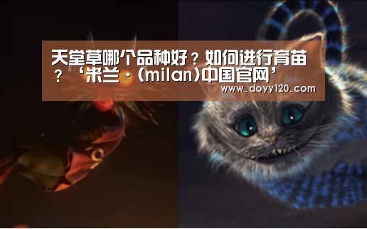 天堂草哪个品种好?如何进行育苗?‘米兰·(milan)中国官网’(图1) 米兰·(milan)中国官网