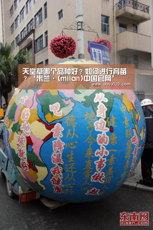 天堂草哪个品种好?如何进行育苗?‘米兰·(milan)中国官网’(图3) 米兰·(milan)中国官网