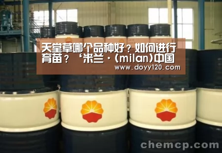 天堂草哪个品种好?如何进行育苗?‘米兰·(milan)中国官网’(图4) milan米兰