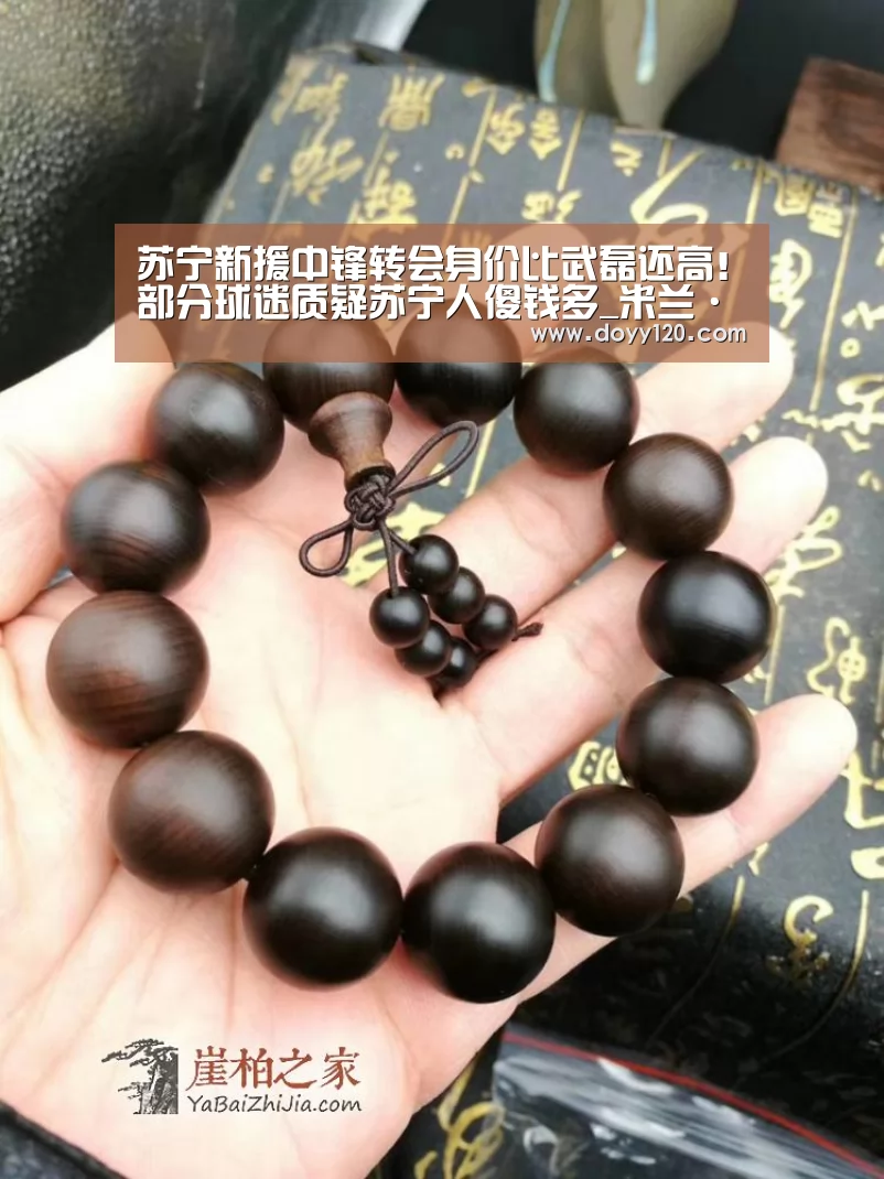 苏宁新援中锋转会身价比武磊还高!部分球迷质疑苏宁人傻钱多_米兰·(milan)中国官网(图1) 米兰官方网站