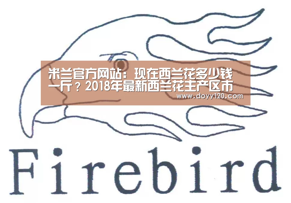 米兰官方网站:现在西兰花多少钱一斤?2018年最新西兰花主产区市场收购价行情(图3) 米兰官方网站
