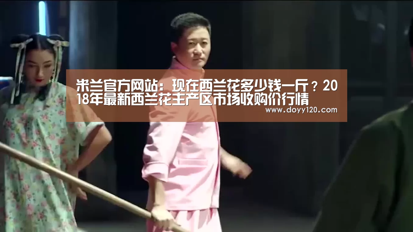 米兰官方网站:现在西兰花多少钱一斤?2018年最新西兰花主产区市场收购价行情(图2) milan米兰