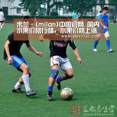米兰·(milan)中国官网_国内水果价格行情,水果价格上涨的原因分析(图1) 米兰官方网站