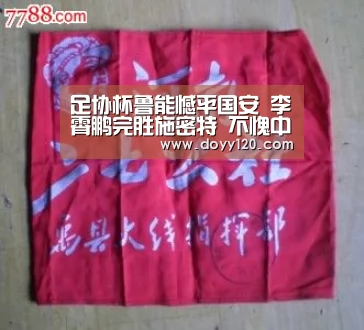 足协杯鲁能憾平国安 李霄鹏完胜施密特 不愧中超最佳主教练|milan米兰(图2) 米兰·(milan)中国官网