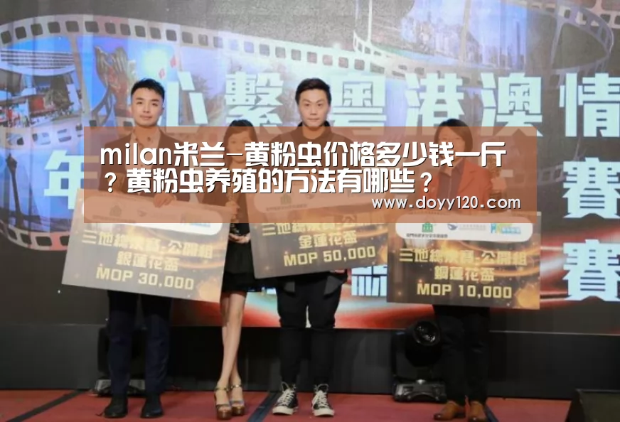 milan米兰-黄粉虫价格多少钱一斤?黄粉虫养殖的方法有哪些?(图1) milan米兰