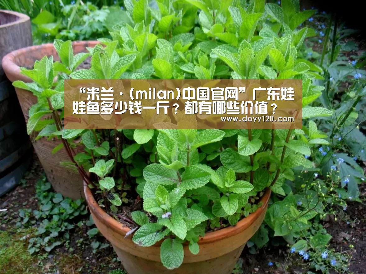 milan米兰