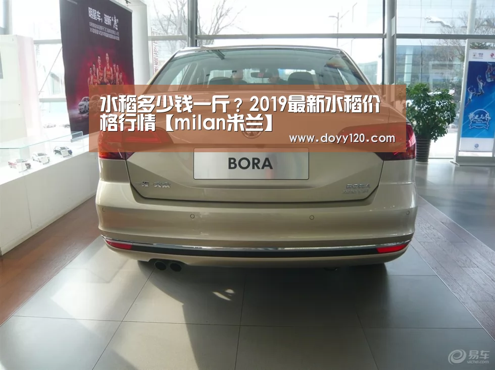 水稻多少钱一斤?2019最新水稻价格行情【milan米兰】(图3) 米兰官方网站