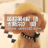 英超第4轮 纽卡斯尔0-1阿森纳 科洛奇尼乌龙|米兰官方网站(图3) 米兰·(milan)中国官网